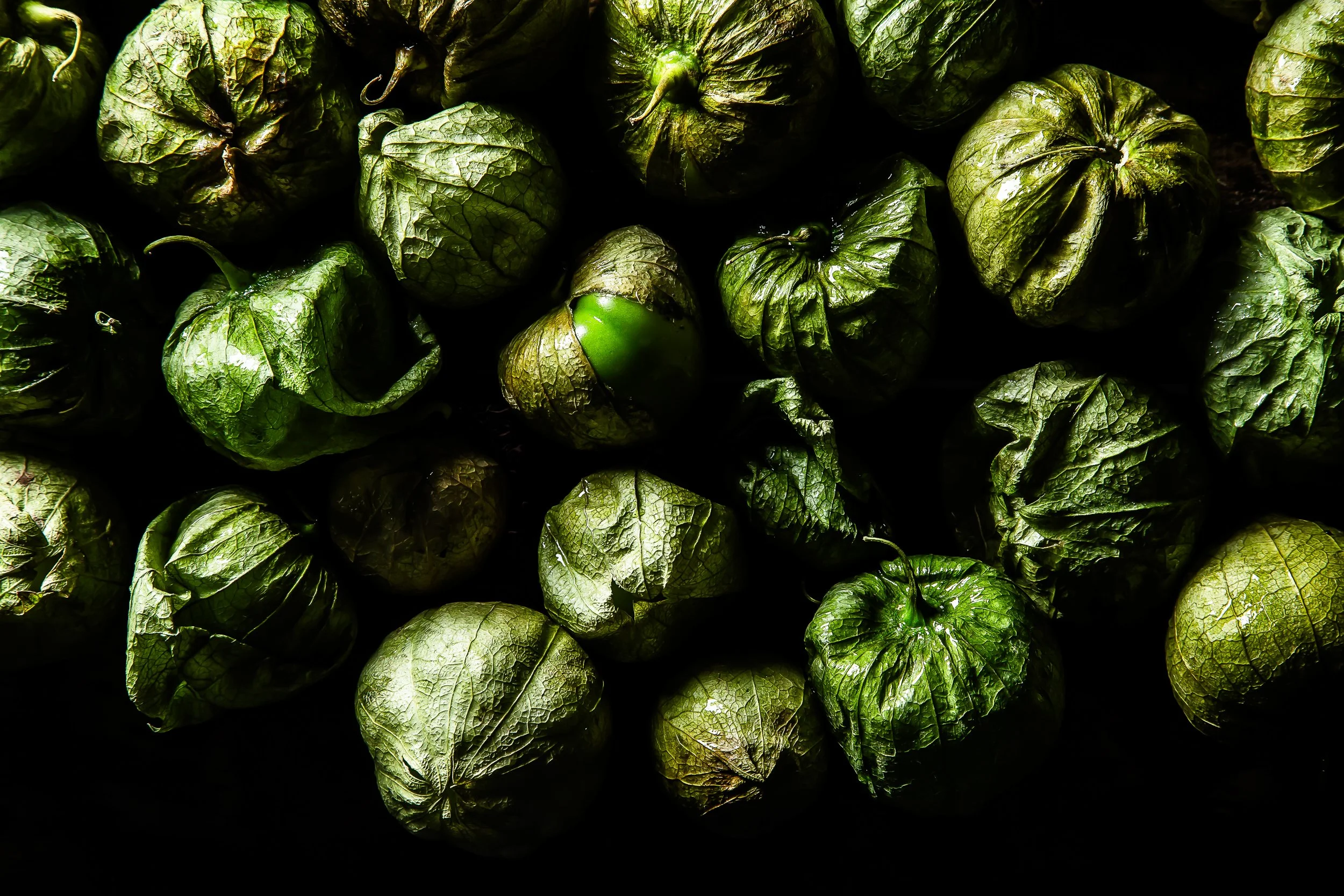 Tomatillos highres_Lizzie Munro.jpg