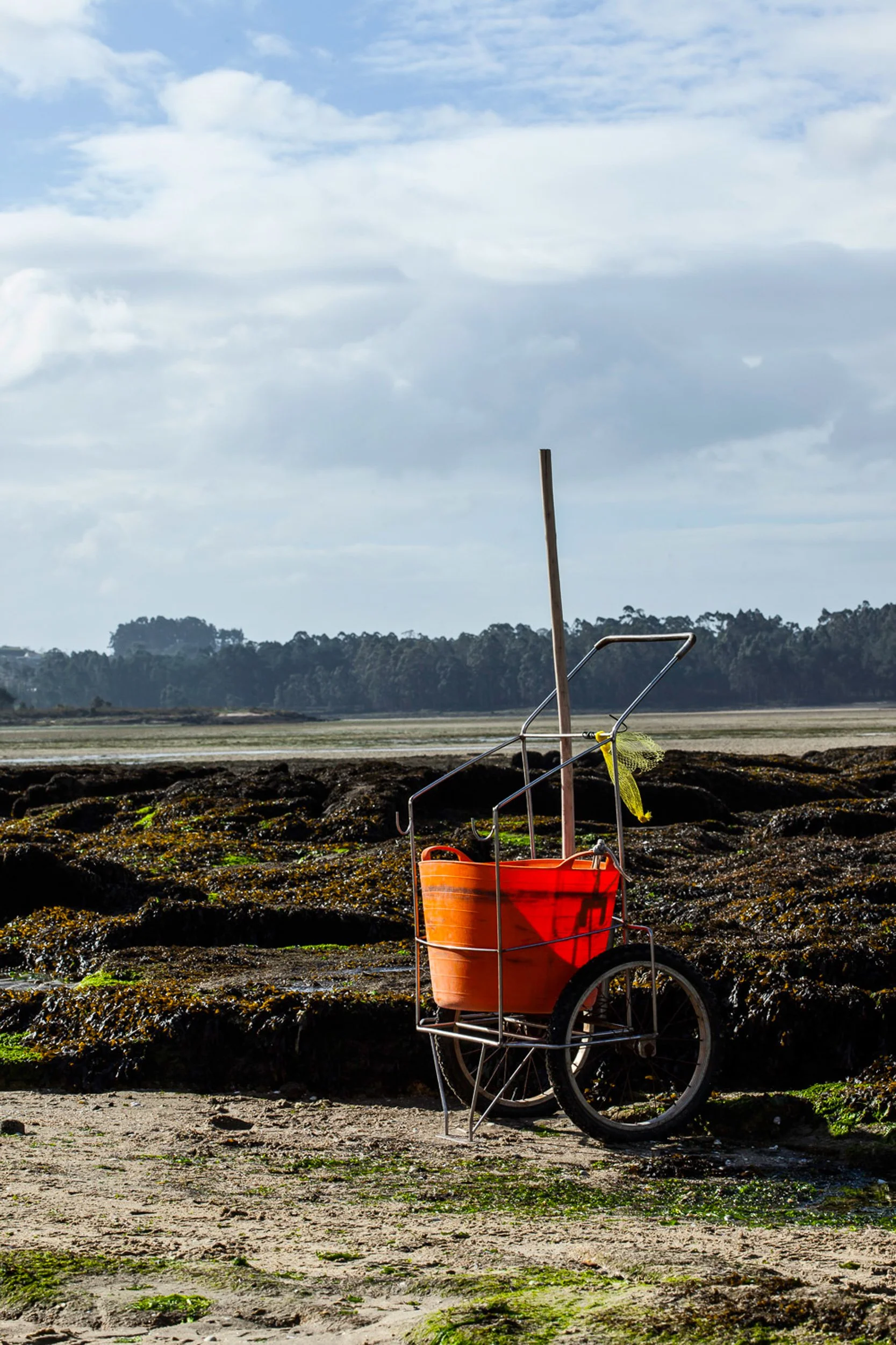 Lizzie Munro PhotographyFISHING-BUCKET_1.jpg