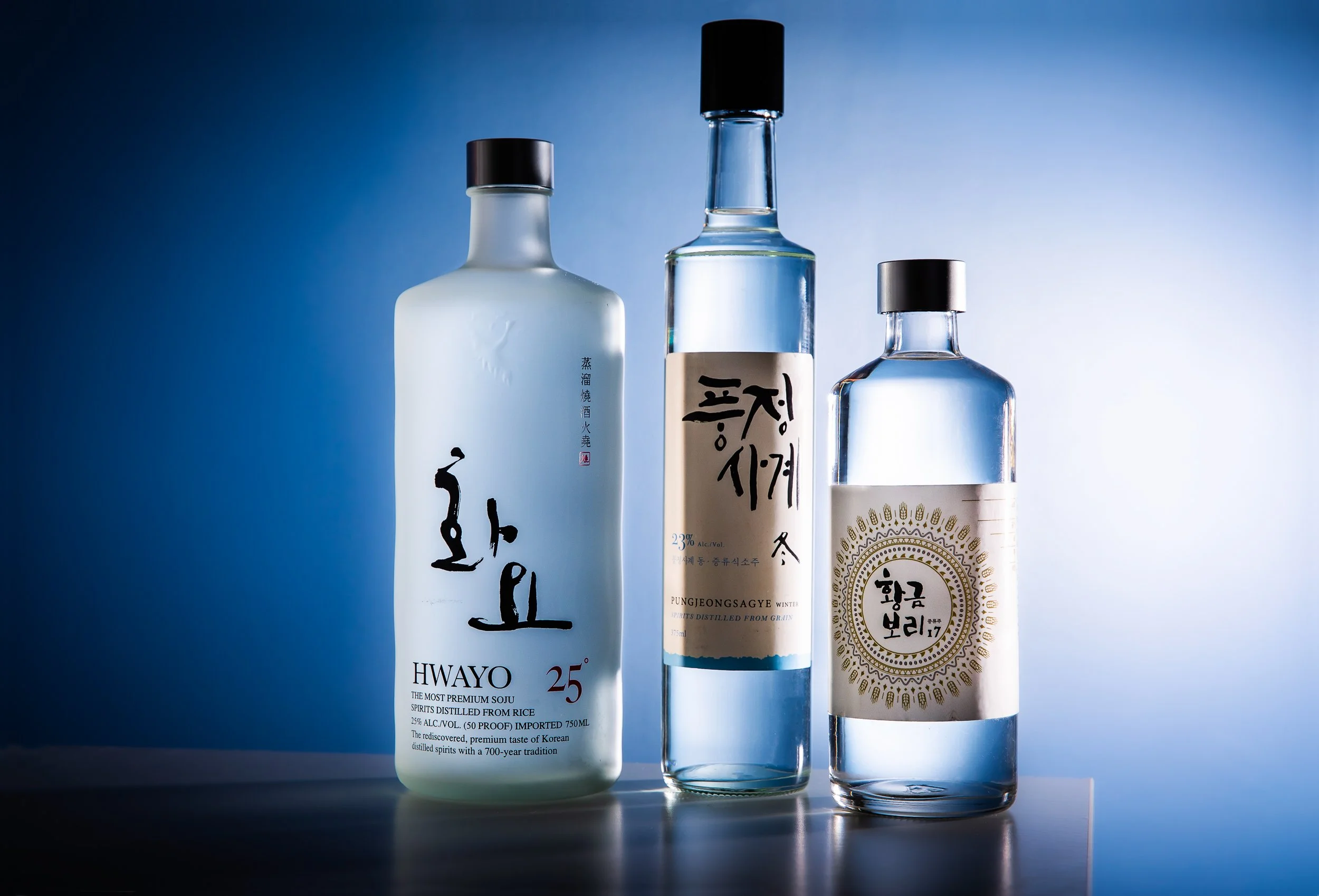 Lizzie Munro PhotographySOJU HORZ.jpg