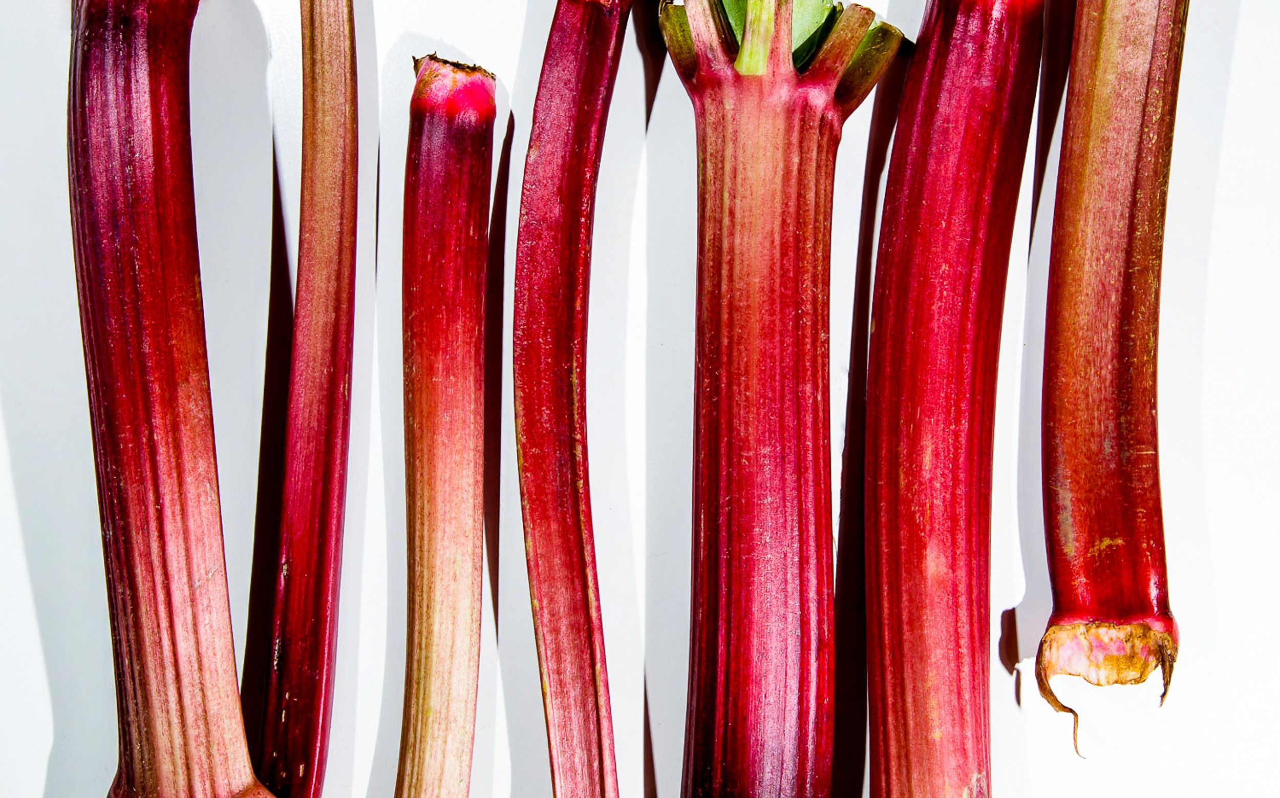 Rhubarb-Lizzie-Munro_Lizzie Munro_2500.jpg