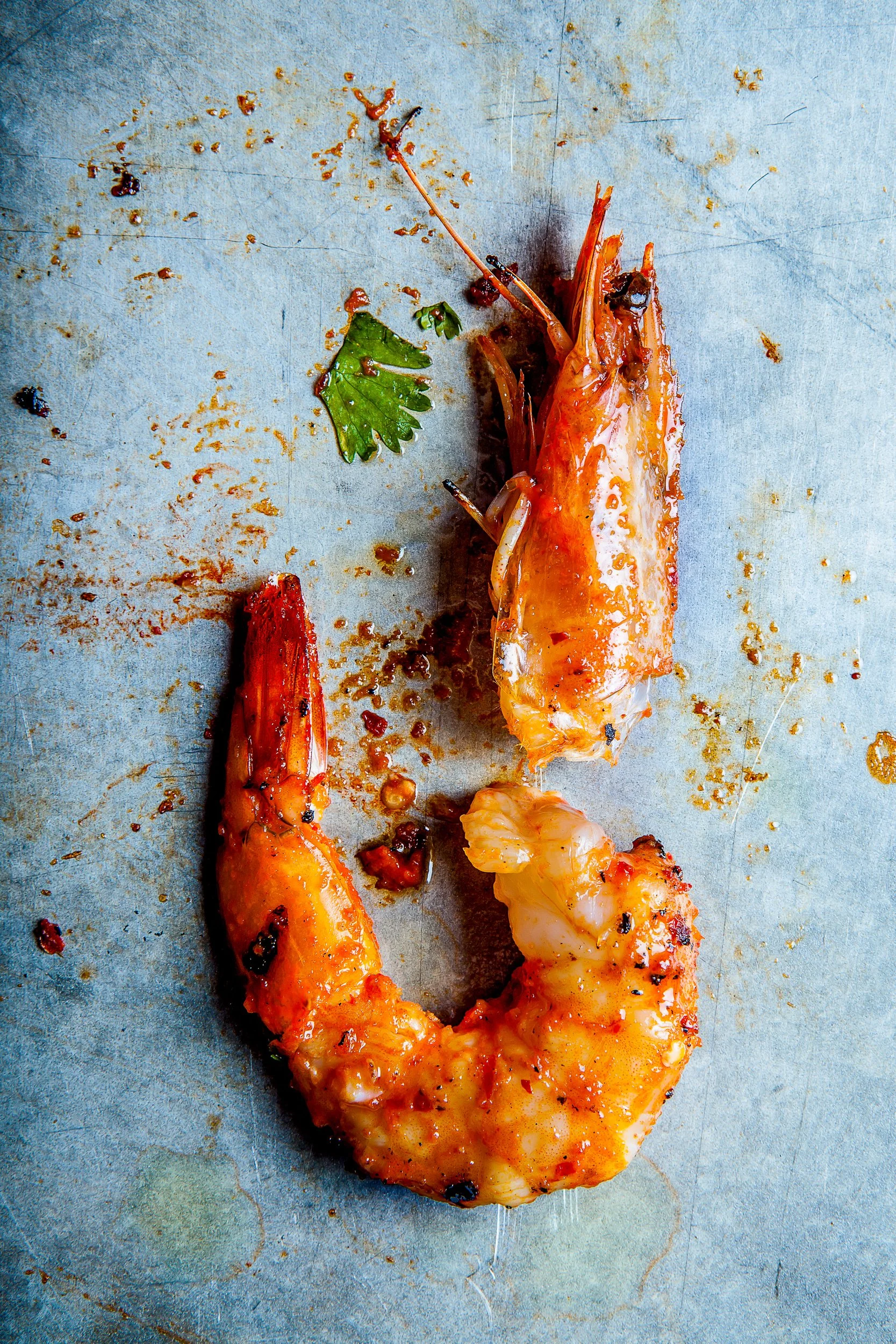 Single shrimp highres2_Lizzie Munro_2500.jpg