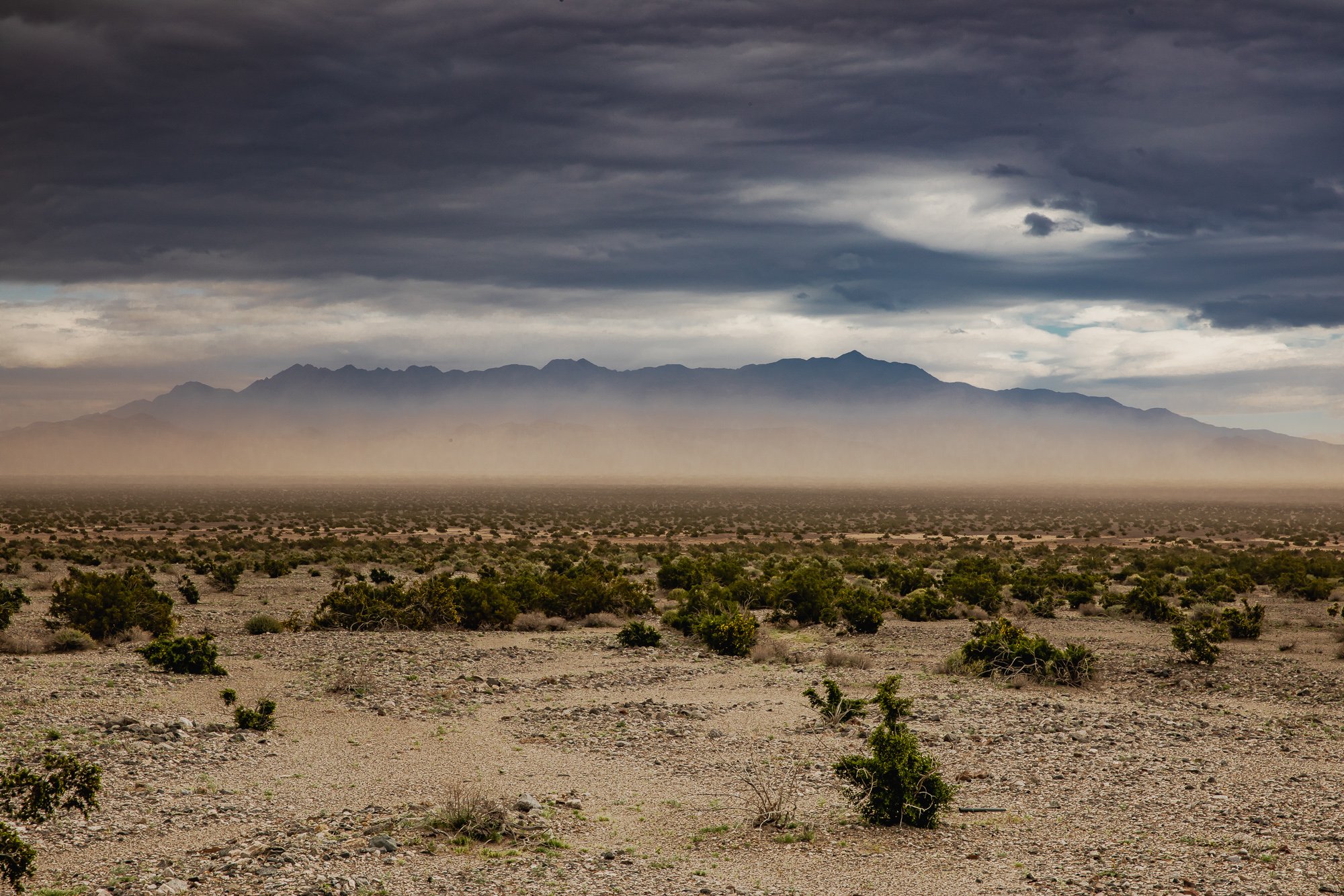AT1A0165_DV Tecopa_Lizzie Munro.jpg