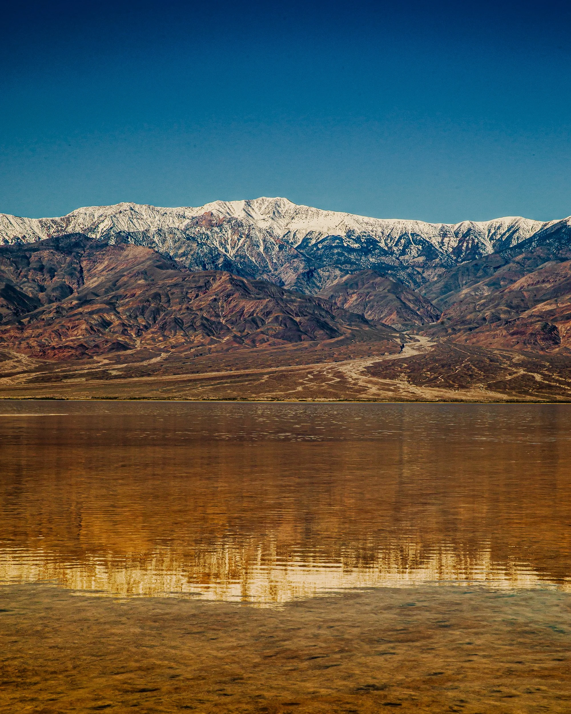 Death Valley _Lizzie Munro.jpg