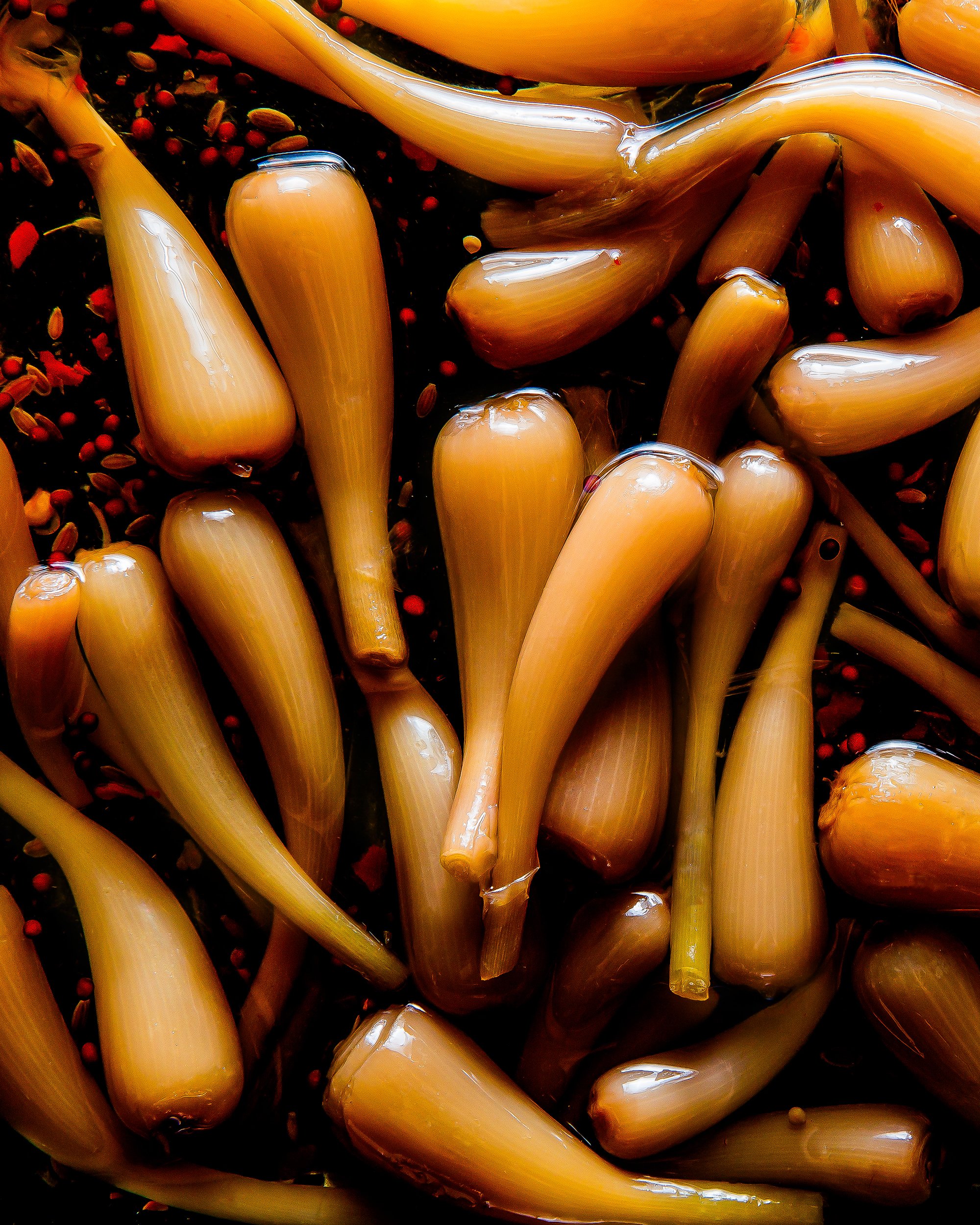Pickled Ramps highres_Lizzie Munro.jpg