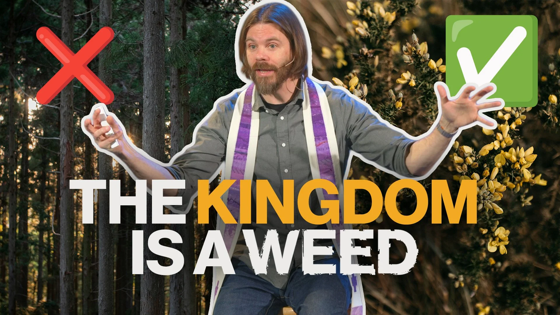 The Scrubby Kingdom of Jesus