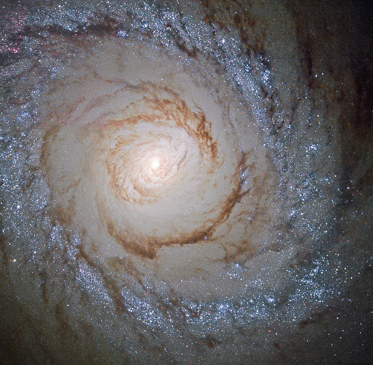 a-hubble-view-of-starburst-galaxy-messier-94_22411319925_o~orig.jpeg