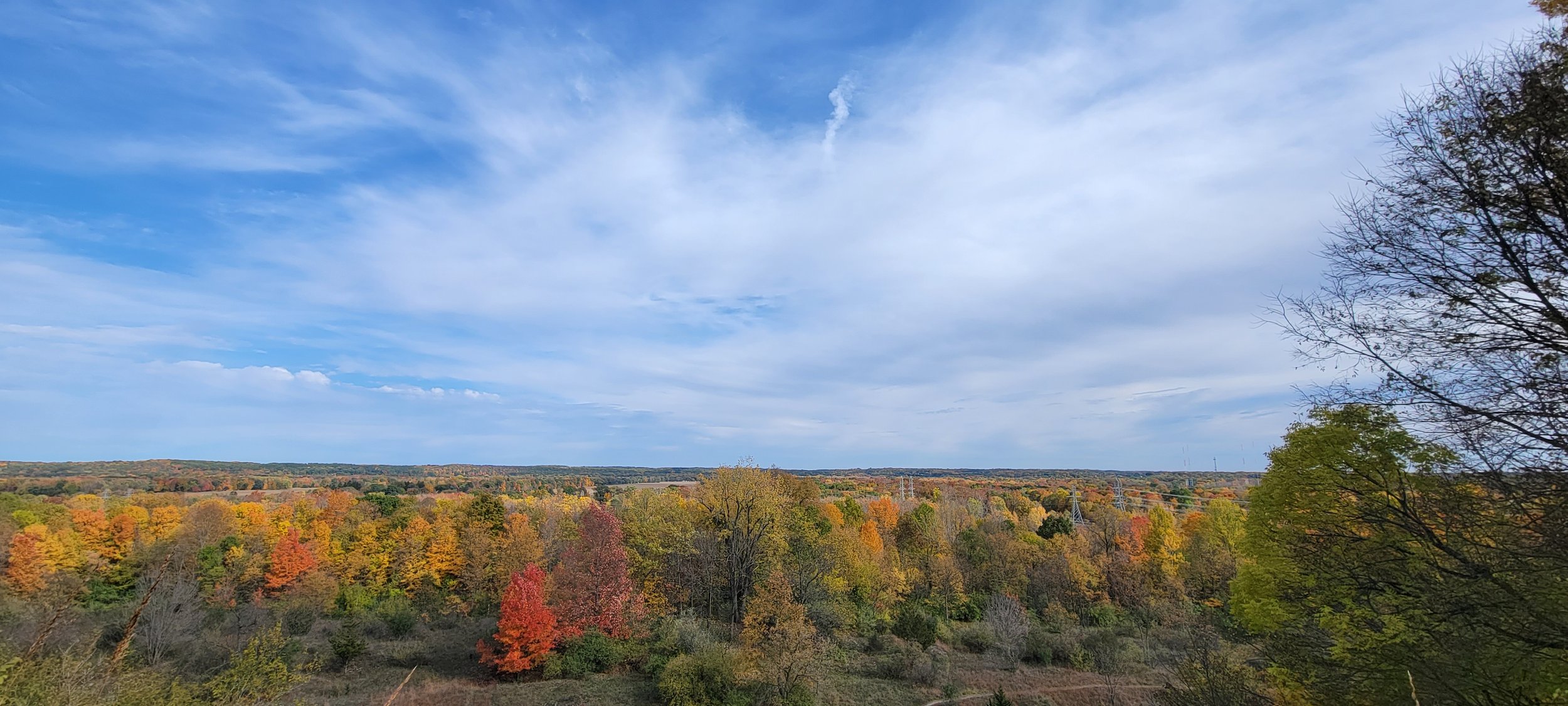 Saugatuck, MI