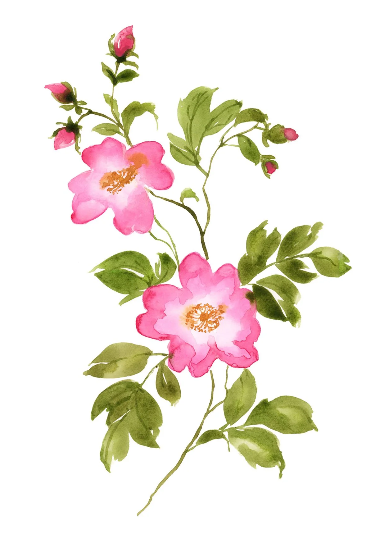 Rose mothers day card.jpg