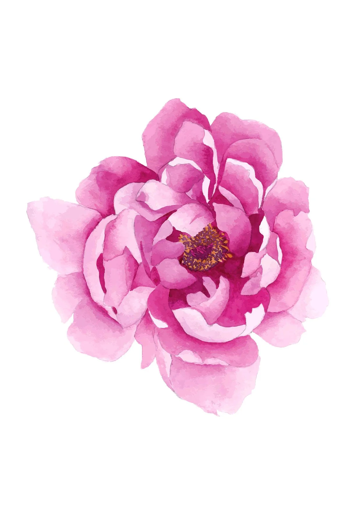 Peony mothers day.jpg