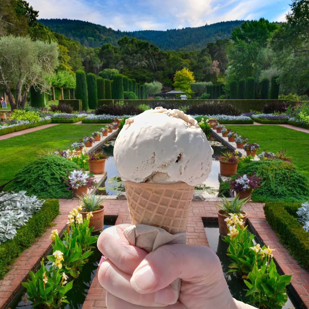 Jollys_Filoli_Summer_Ngt.png