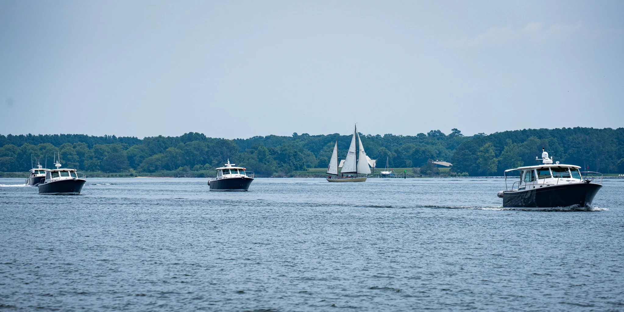 DSC00576.jpg