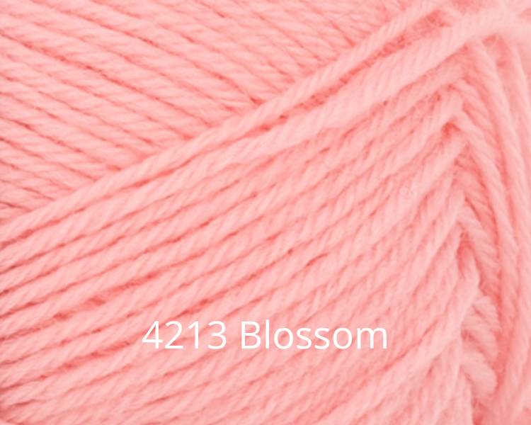 4213 Blossom.png