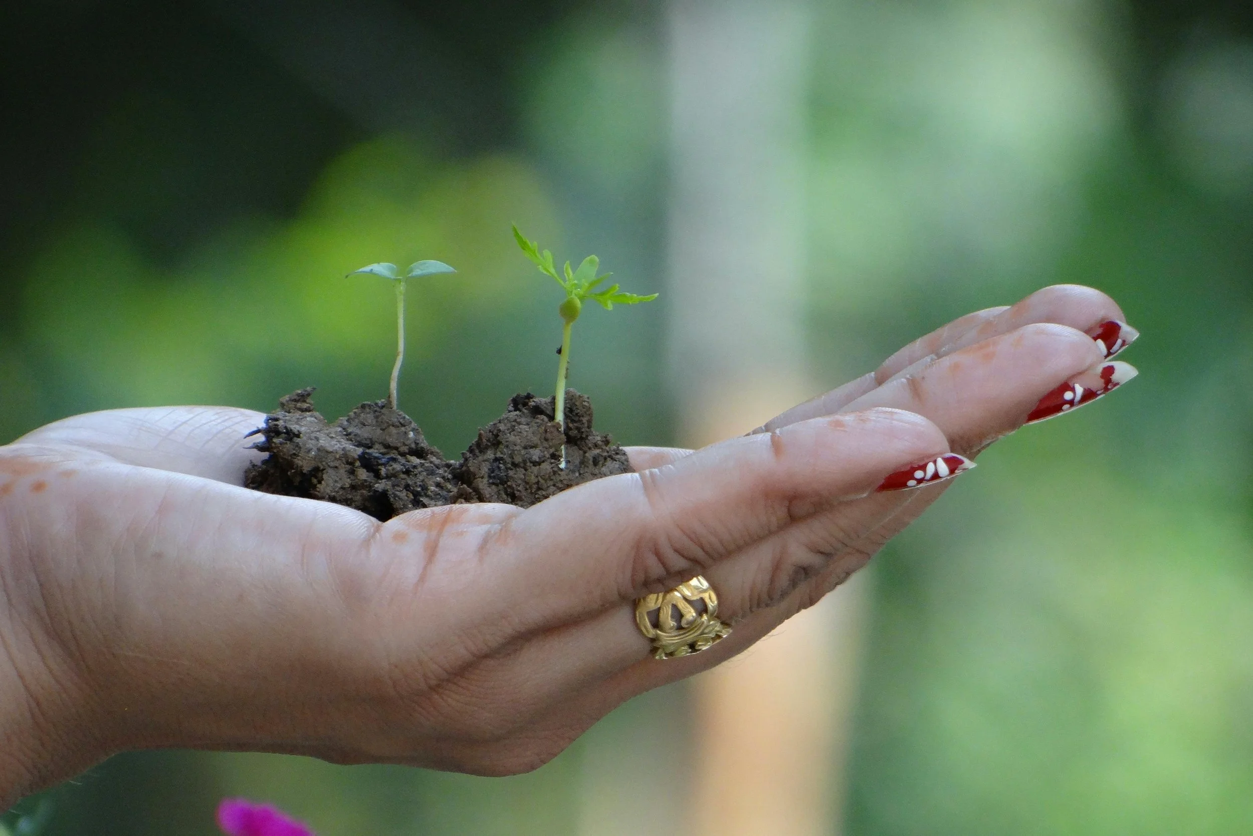 Why Nurturing Doesn’t Always Mean Motherhood