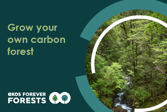 Webinar podcast on Ekos Forever Forests Launch