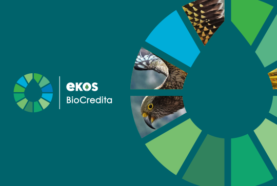 International Recognition of Ekos BioCredita