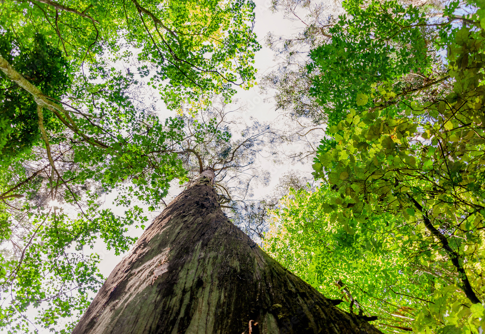 Climate Risk Is Business Risk: Why Acting Now Matters