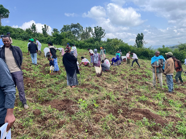 plan-vivo-accelerator-women-coffee-farmers-4.webp