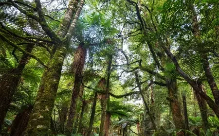 Taking Root | September 2025