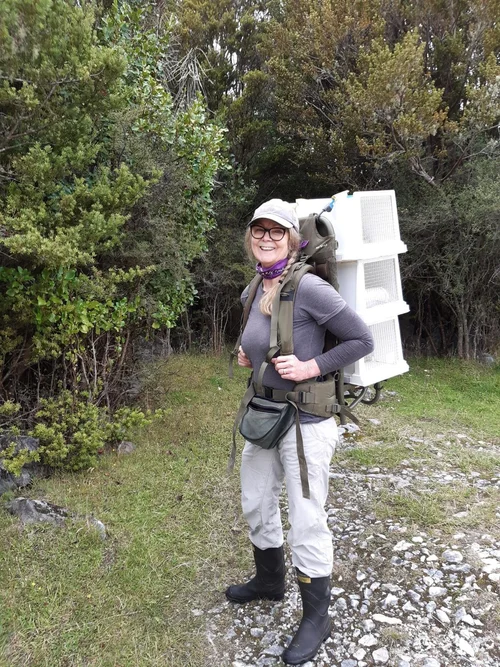 takaka-hill-biodiversity-groups-charmaine-petere.webp