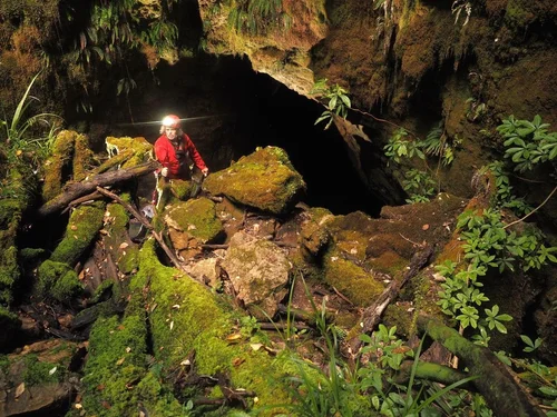 takaka-hill-biodiversity-group-gavin-holden.webp