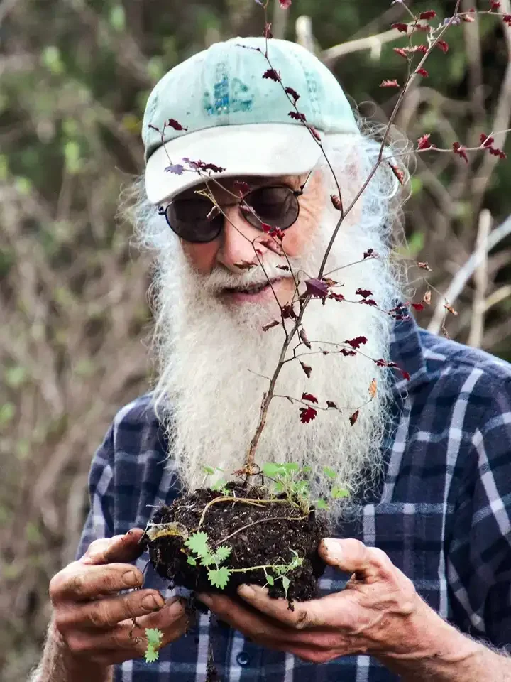 Paul studies a beech seedling at Rameka Forest