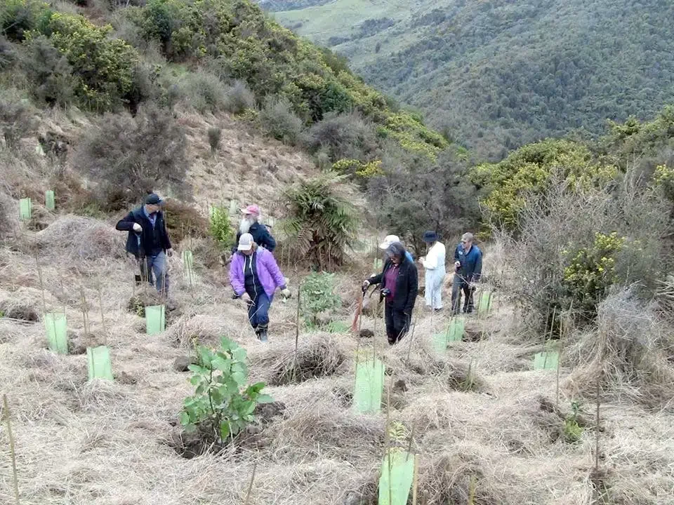 Group of people planting young trees on a hillside in Rameka.