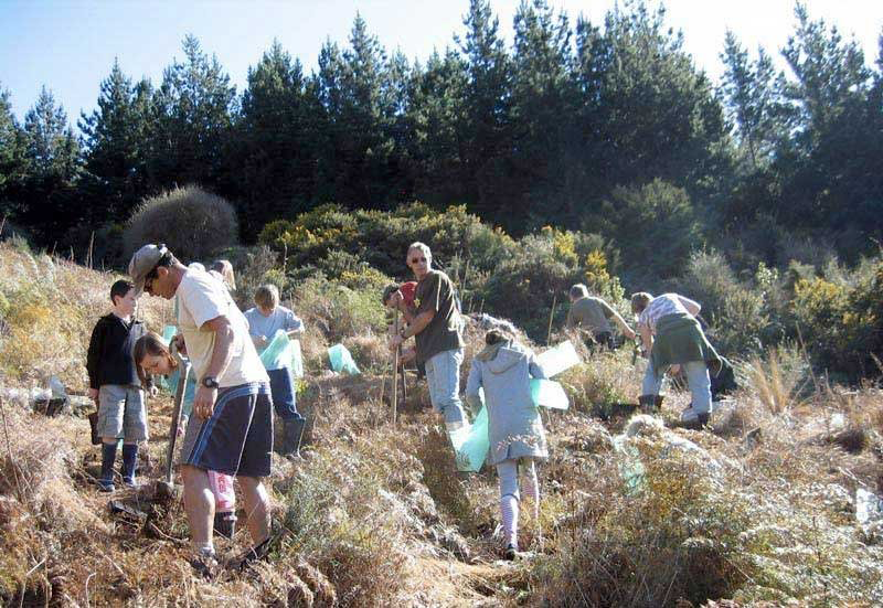 Group of people, including children and adults, planting in Rameka with trees and bushes in the background.