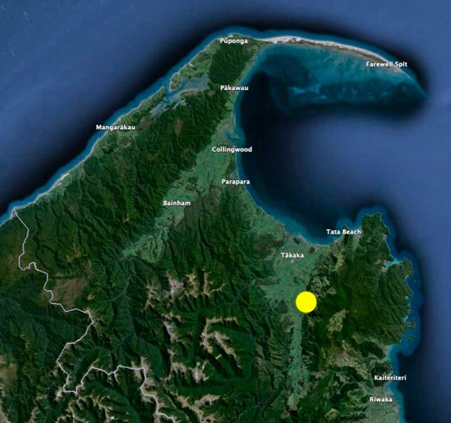 A closeup map of the Rameka Forest Carbon Project located at the top of the South Island, New Zealand, in Golden Bay.