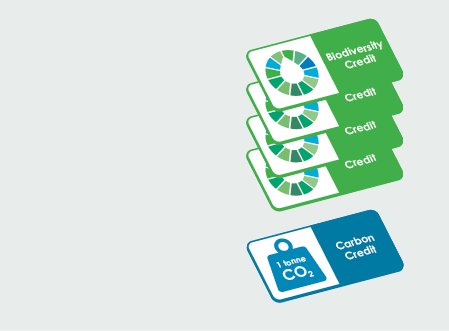Verified Biodiversity Credits New Zealand - BioCredita by Ekos — Ekos
