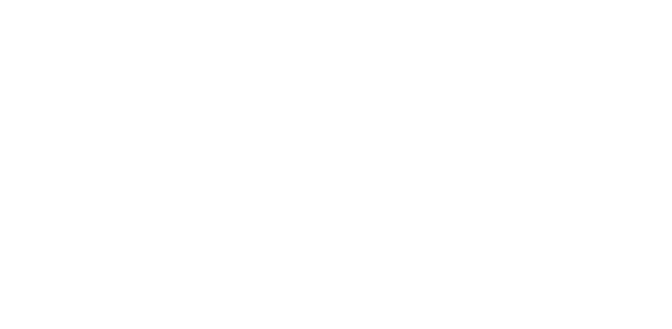 Nelson Airport