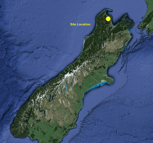 Satellite map of the island of Newfoundland showing a site location marked with a yellow dot in the northern part of the island.