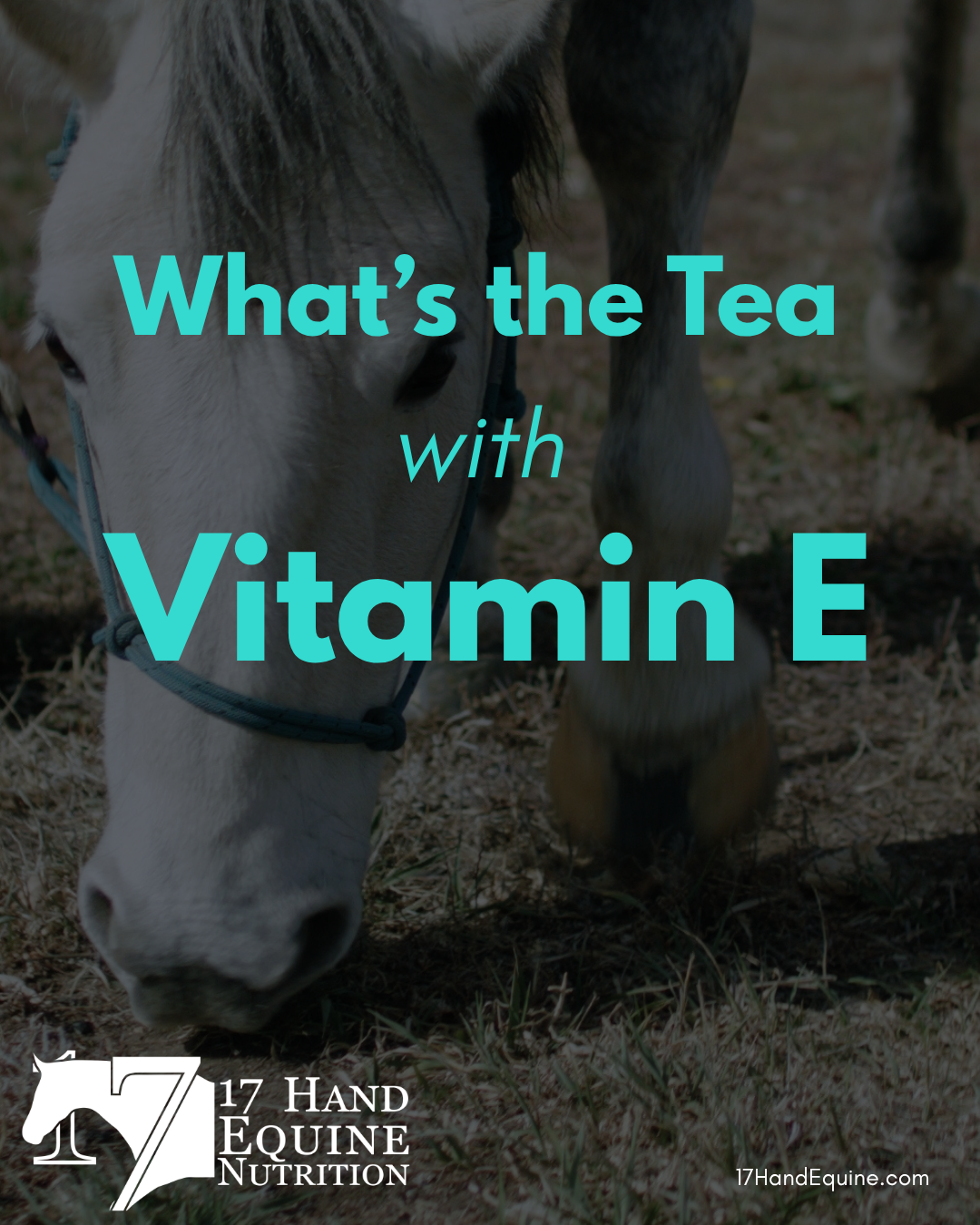 What’s the Tea with Vitamin E?
