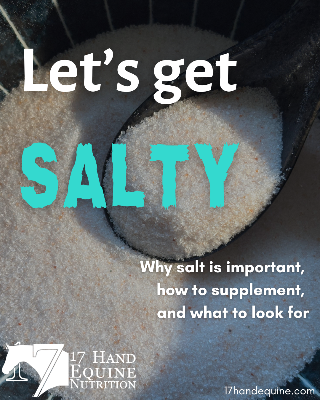 Let’s Get SALTY