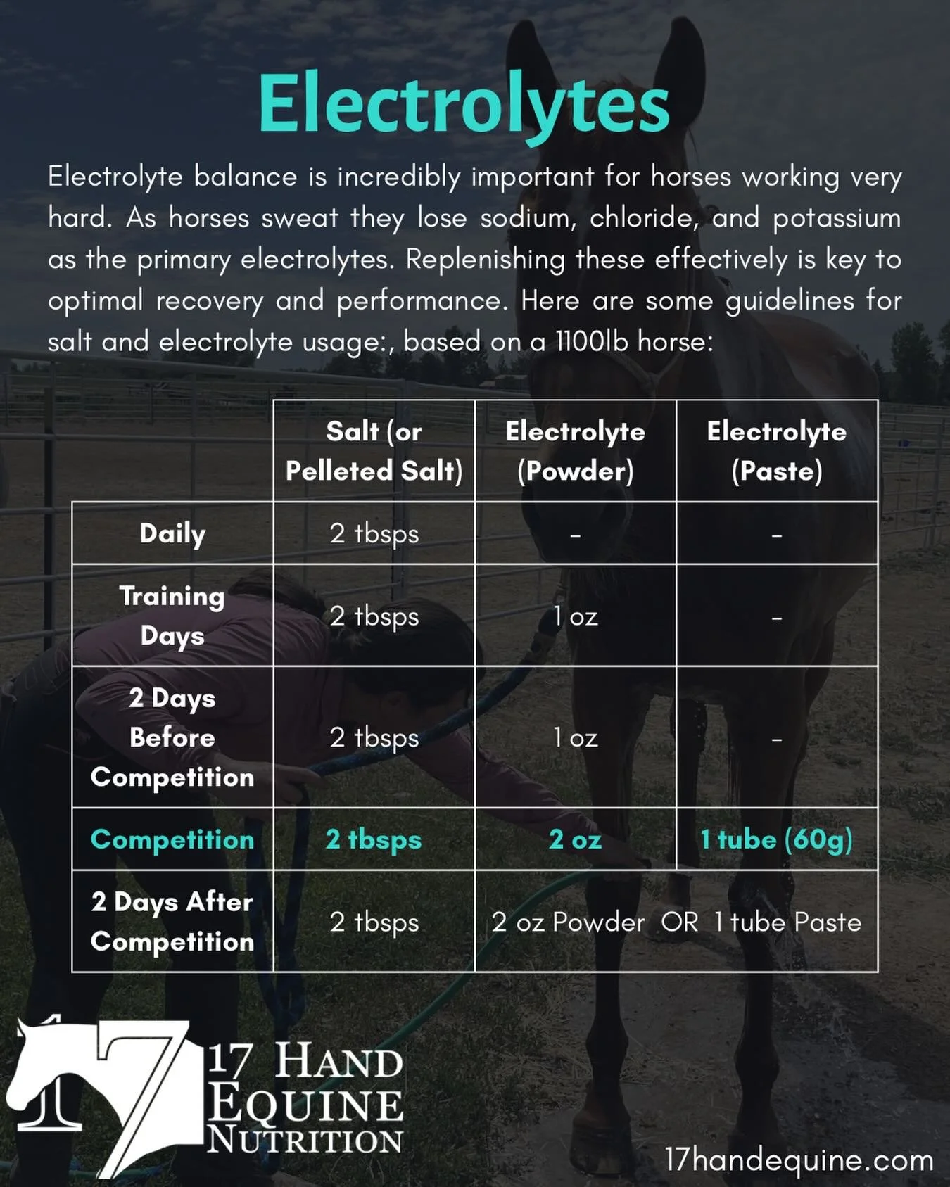A follow-up to my &ldquo;Let&rsquo;s Get Salty&rdquo; post from a while back, here is my quick reference for electrolyte protocol for horses in hard work and sweating heavily. This is created with endurance horses, eventers, and hard working ranch ho
