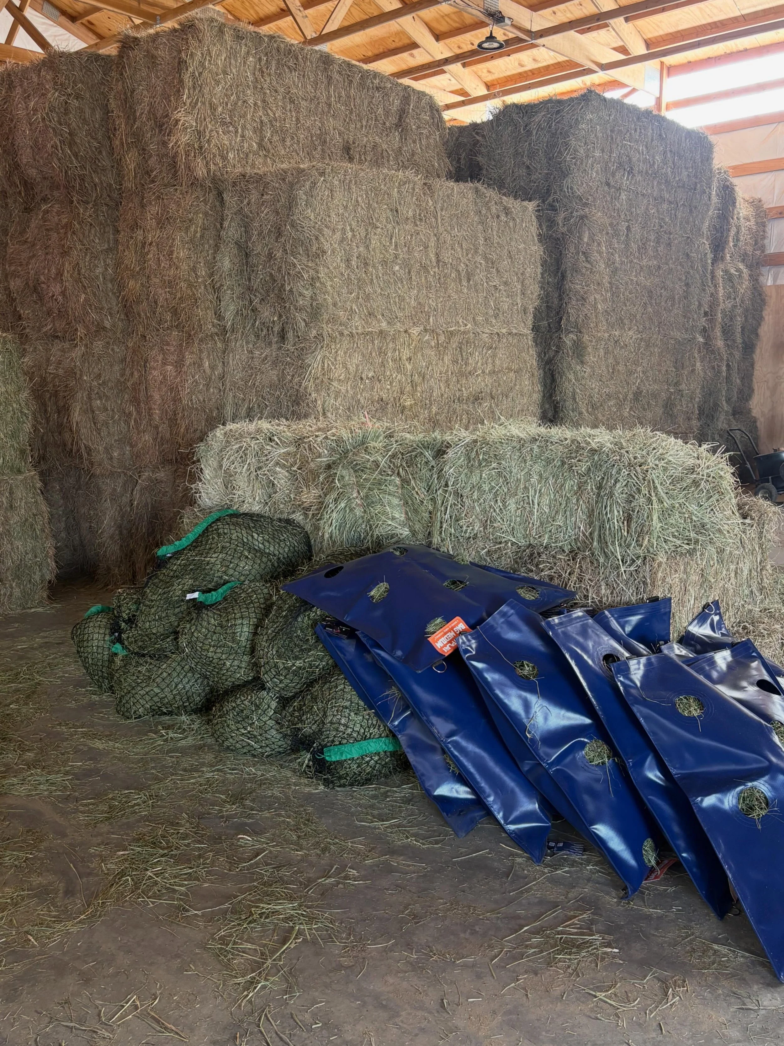 When I opened my phone to this lovely picture of hay bags prepped and weighed, I smiled like an idiot. Big fat stupid smile. 

When working with a large barn, changes to routine and program take time. It has to have a scientific basis and benefit. It