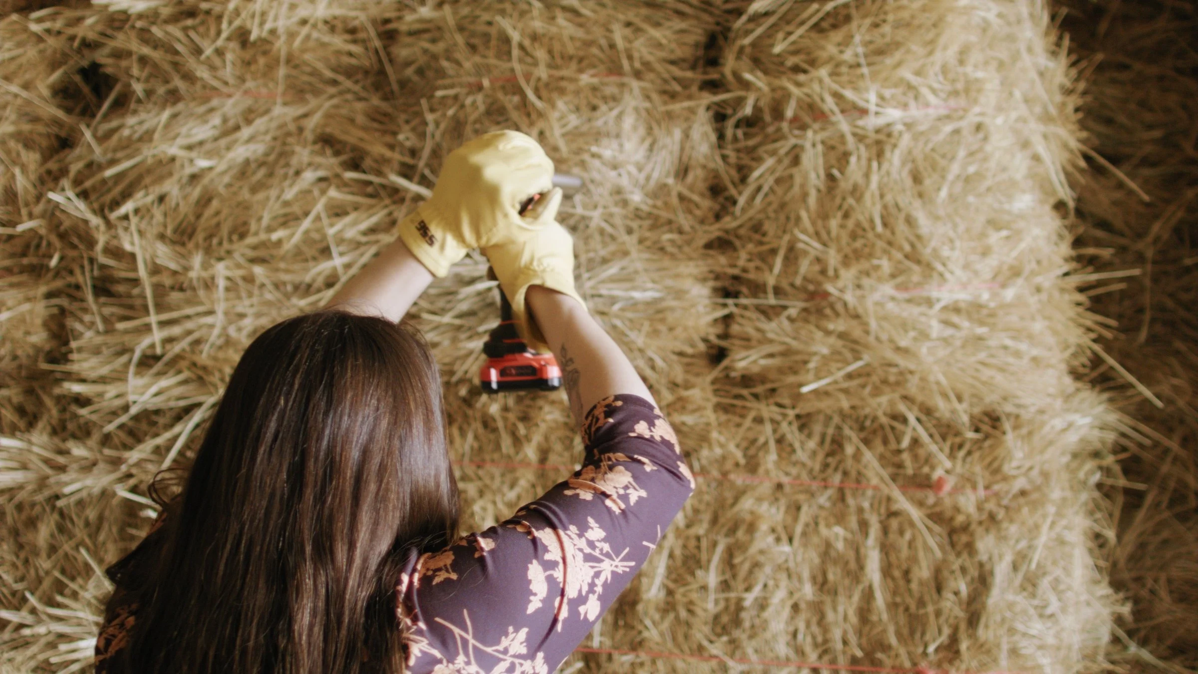 Virtual Event- Hunker Down With Your Hay