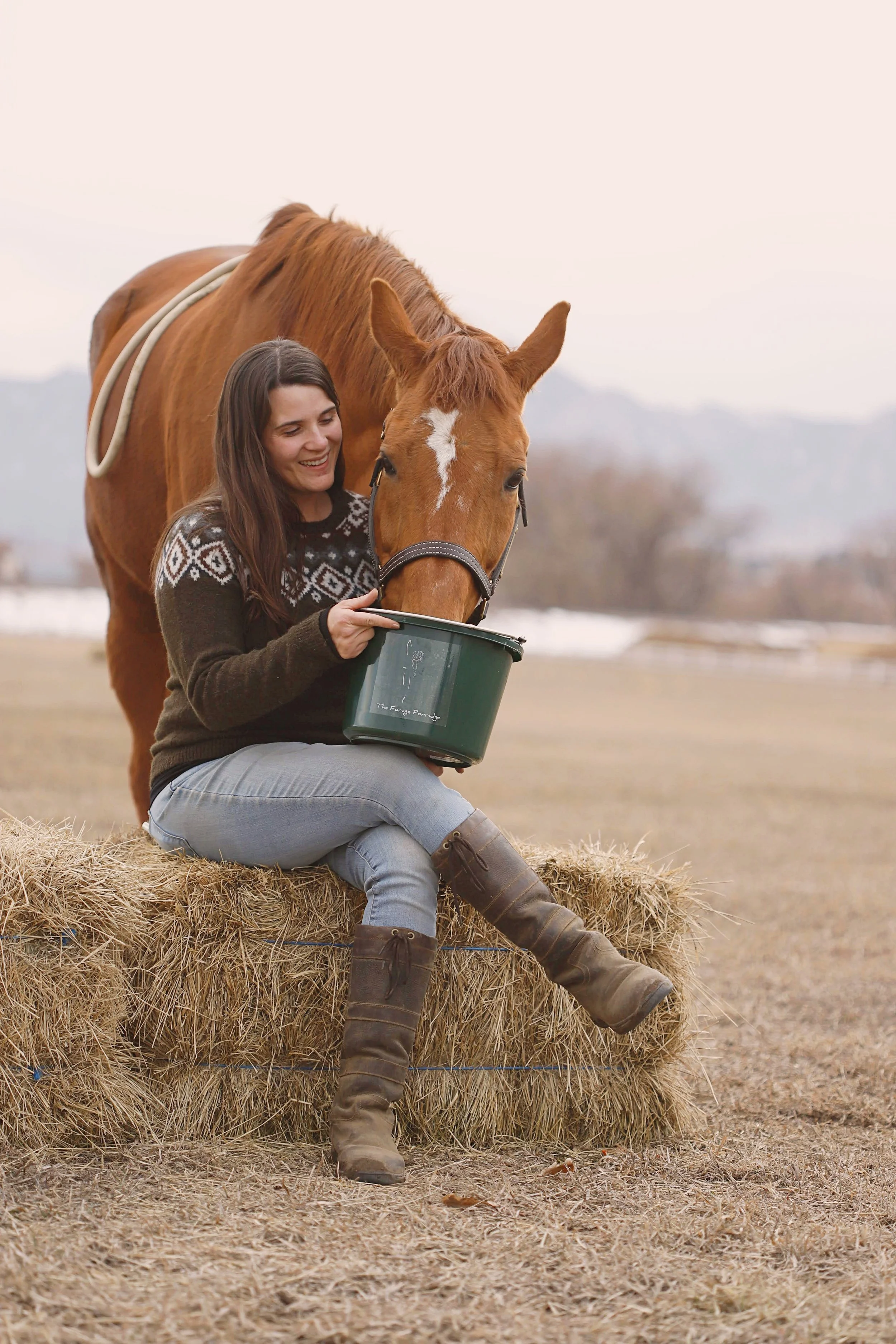 Virtual Event- Senior Horse Nutrition