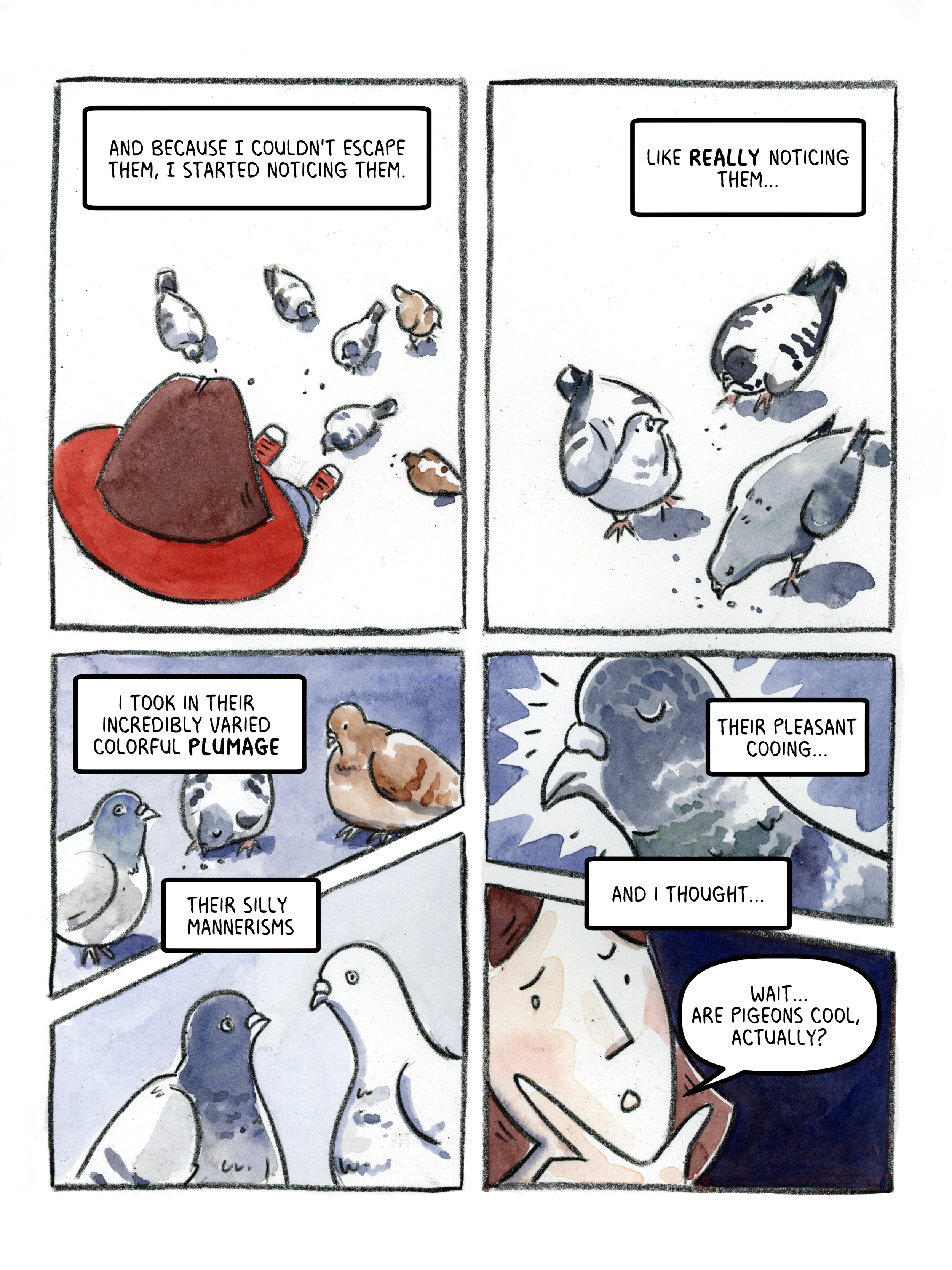Pigeons.2.png