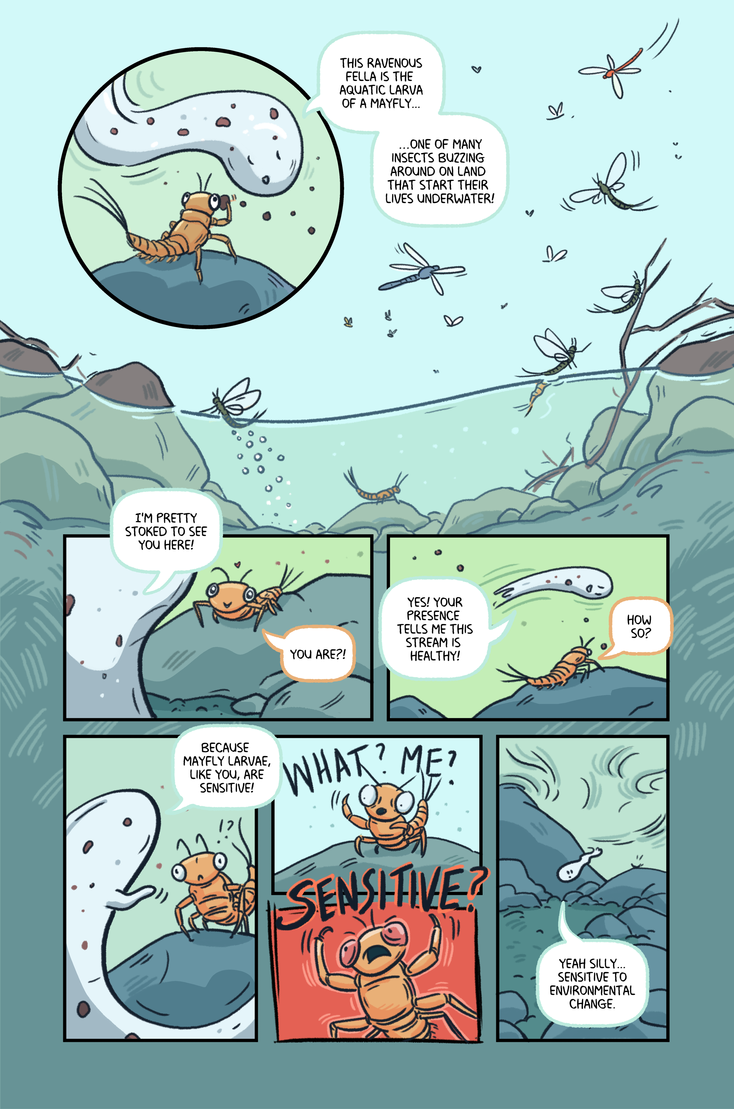 Watershed_015.png