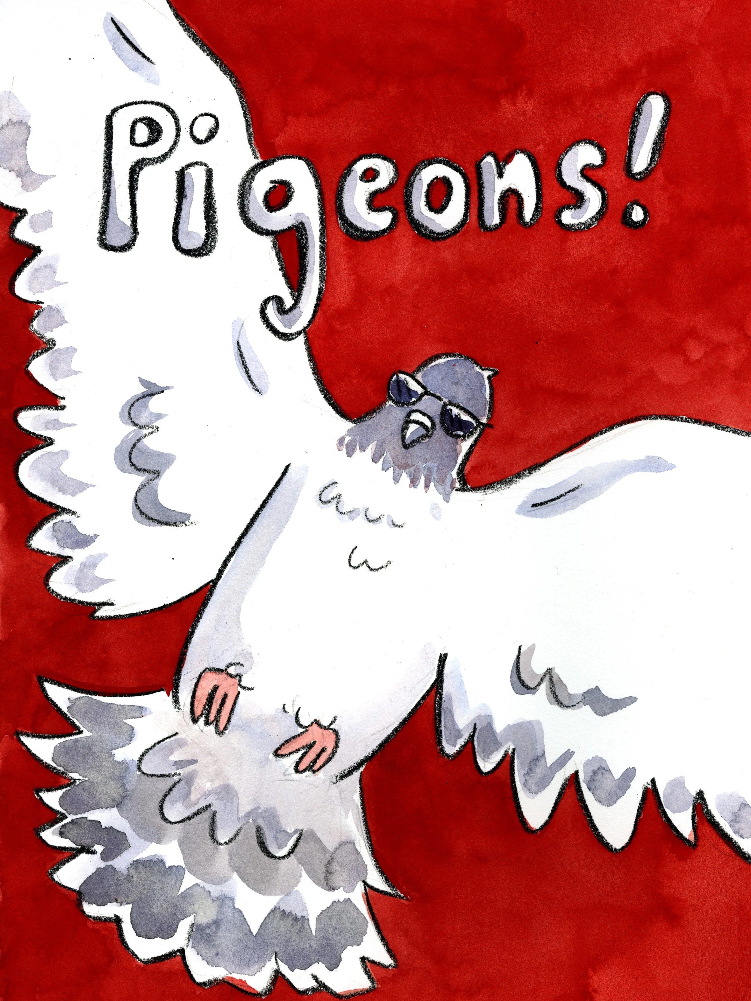 Pigeons!