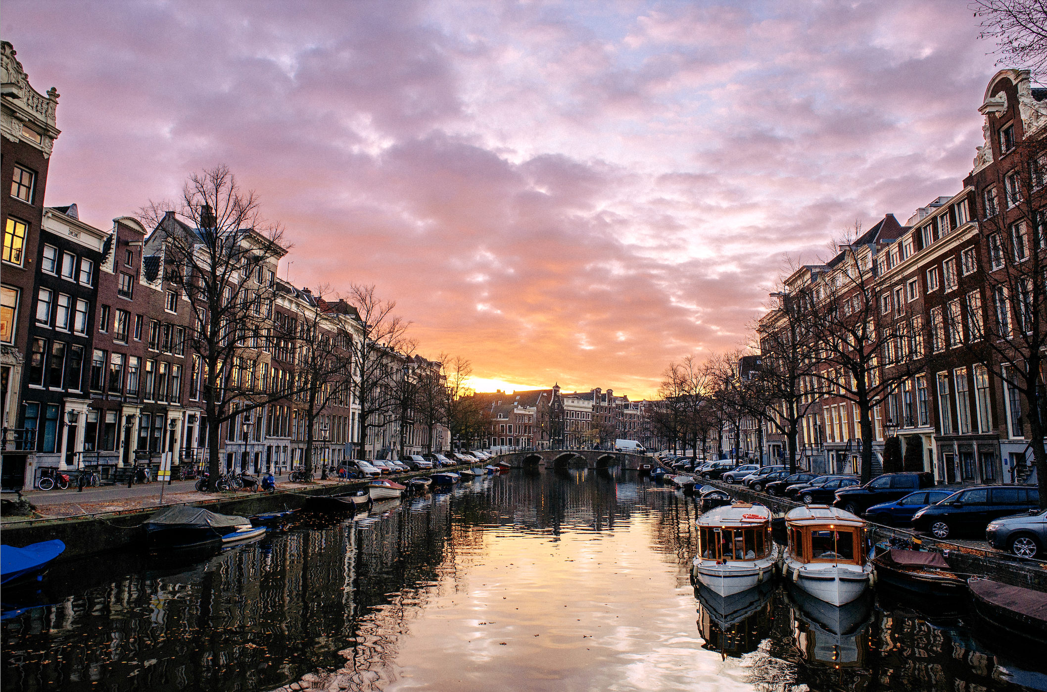 Screen Shot 2026-03-04 at 1.23.45 PM.png