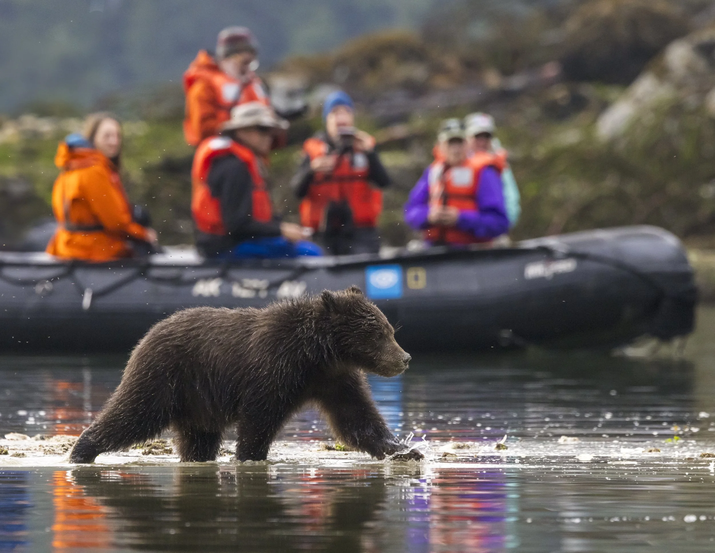 LEX-US Alaska Saltchuck Bay AP7317.jpg