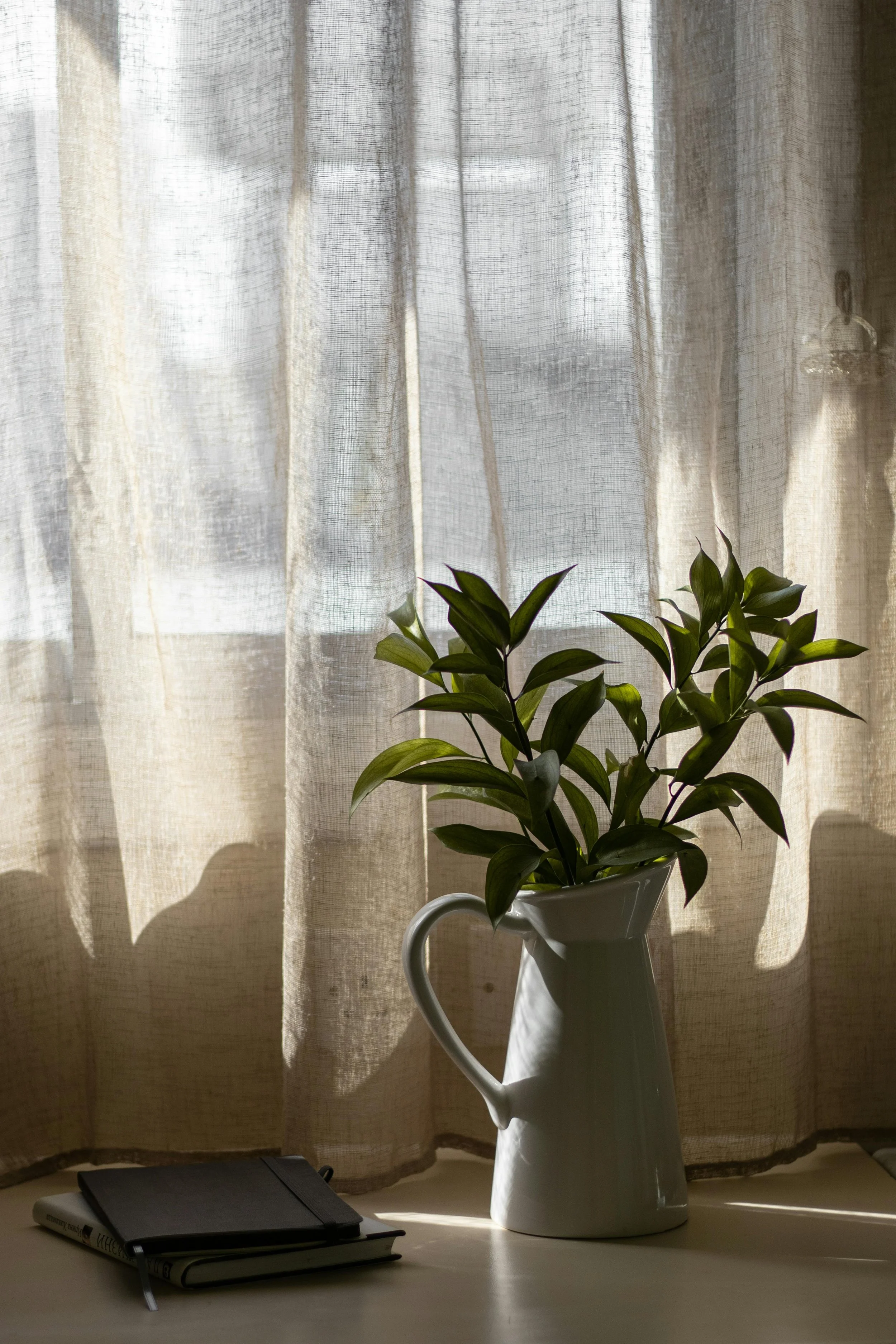 image of a vase and books near a window with see-through curtain representing finding peace from OCD in Sacramento with living gently therapy OCD treatment
