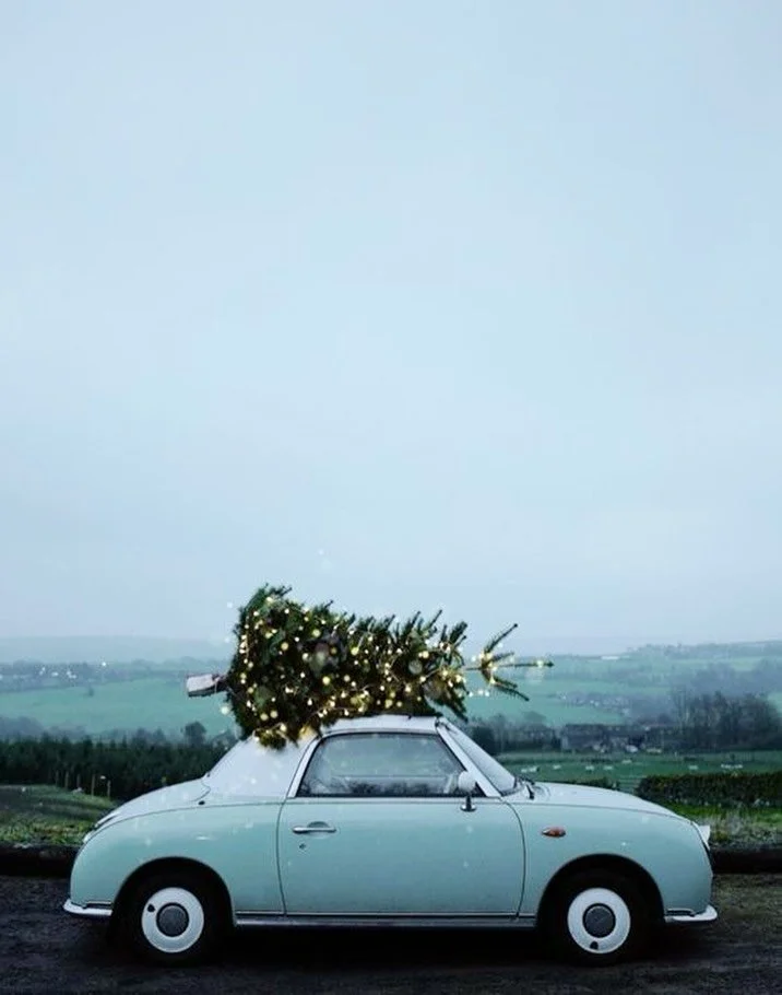 How is it already the Holidays? I think I say that every year and every year I mean it. The shop is open today until six and will be back open Friday at 11. Let&rsquo;s get this party goin.