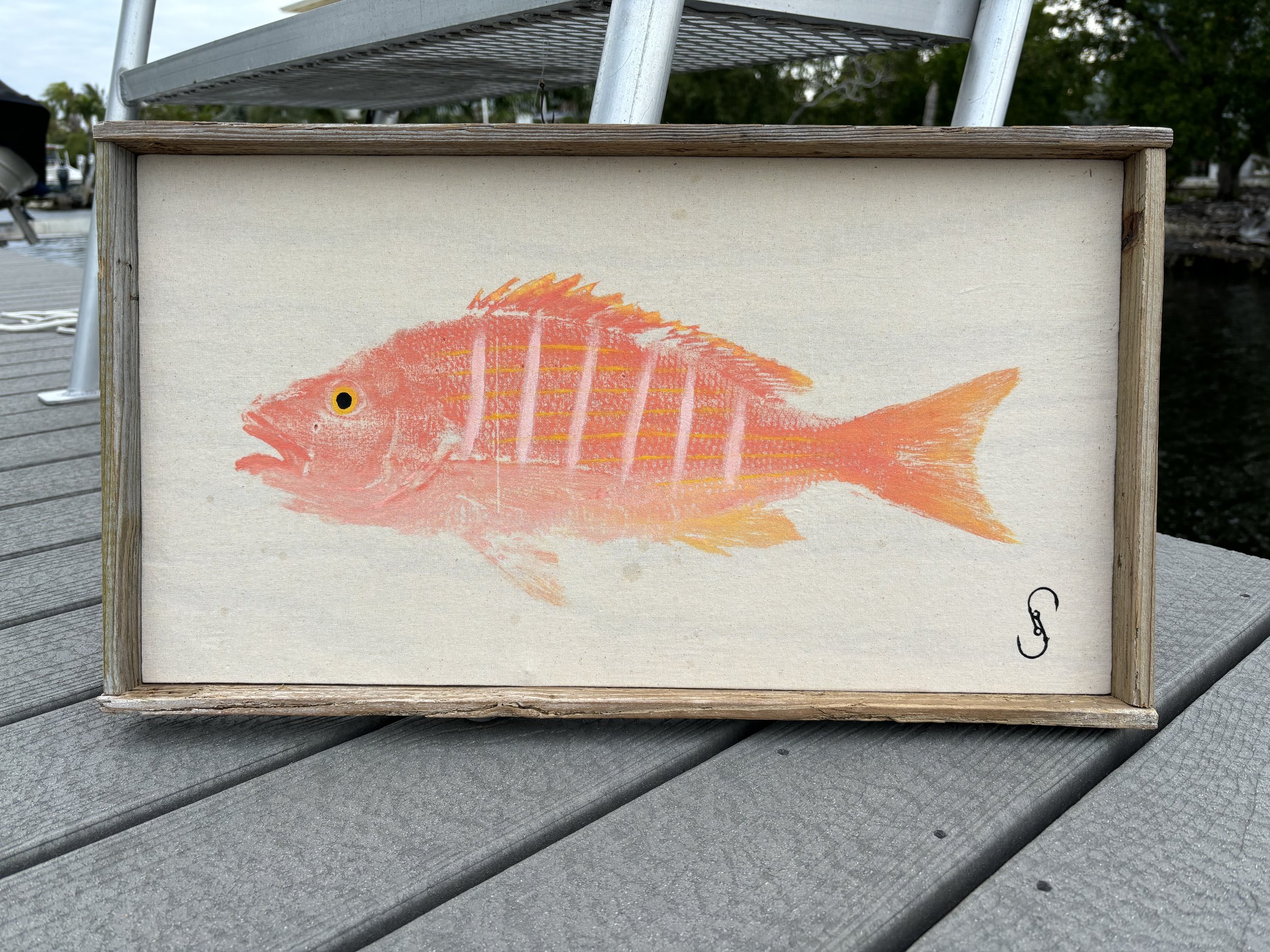 Yellow Eye Snapper