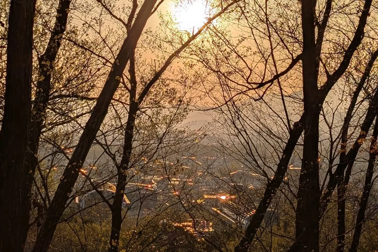 Spring of twenty six 
.
.
.
#spring 
#sakura 
#philosopherspath 
#flowers 
#japan