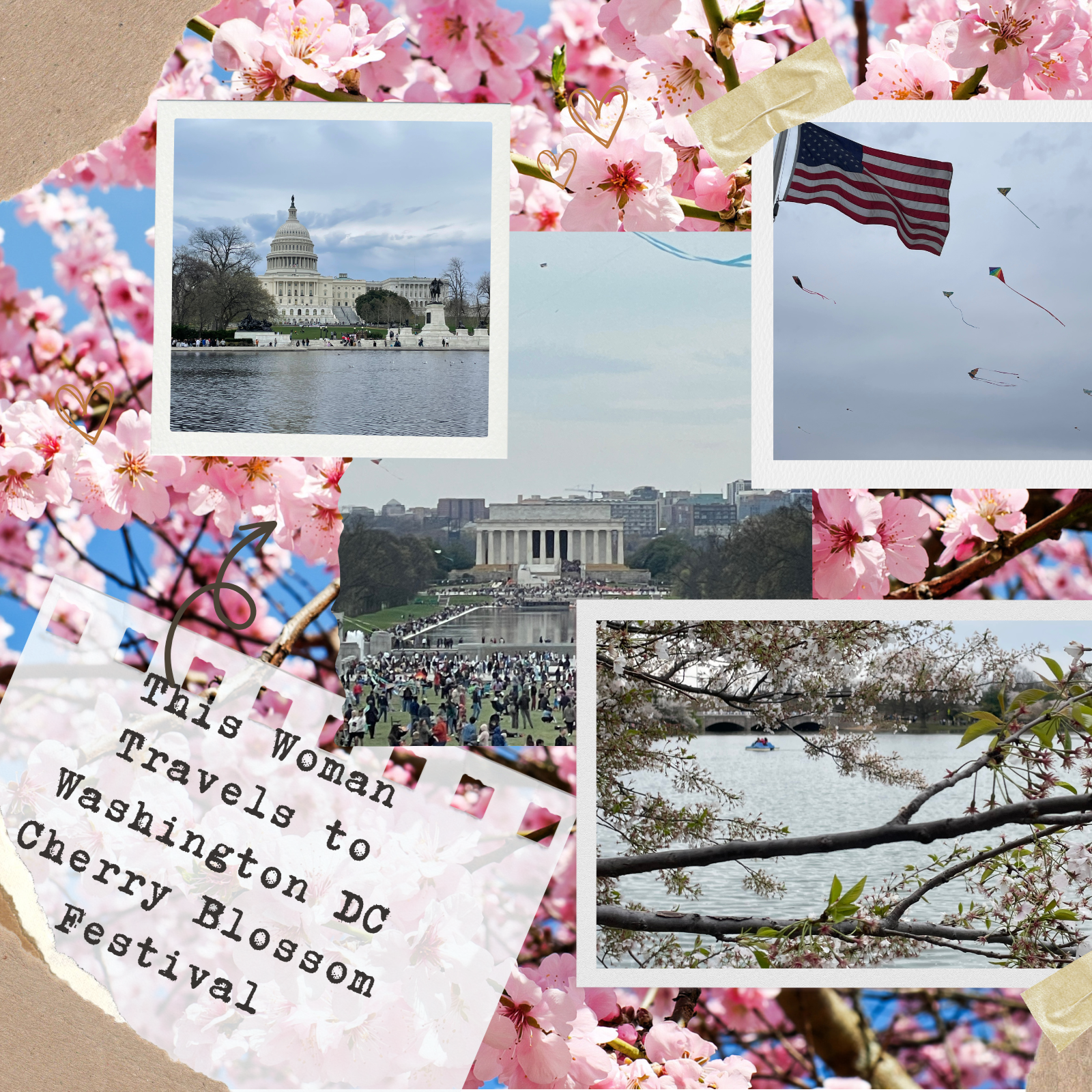 Powerful Alone: A Woman's Solo Journey To Washington, D.C.