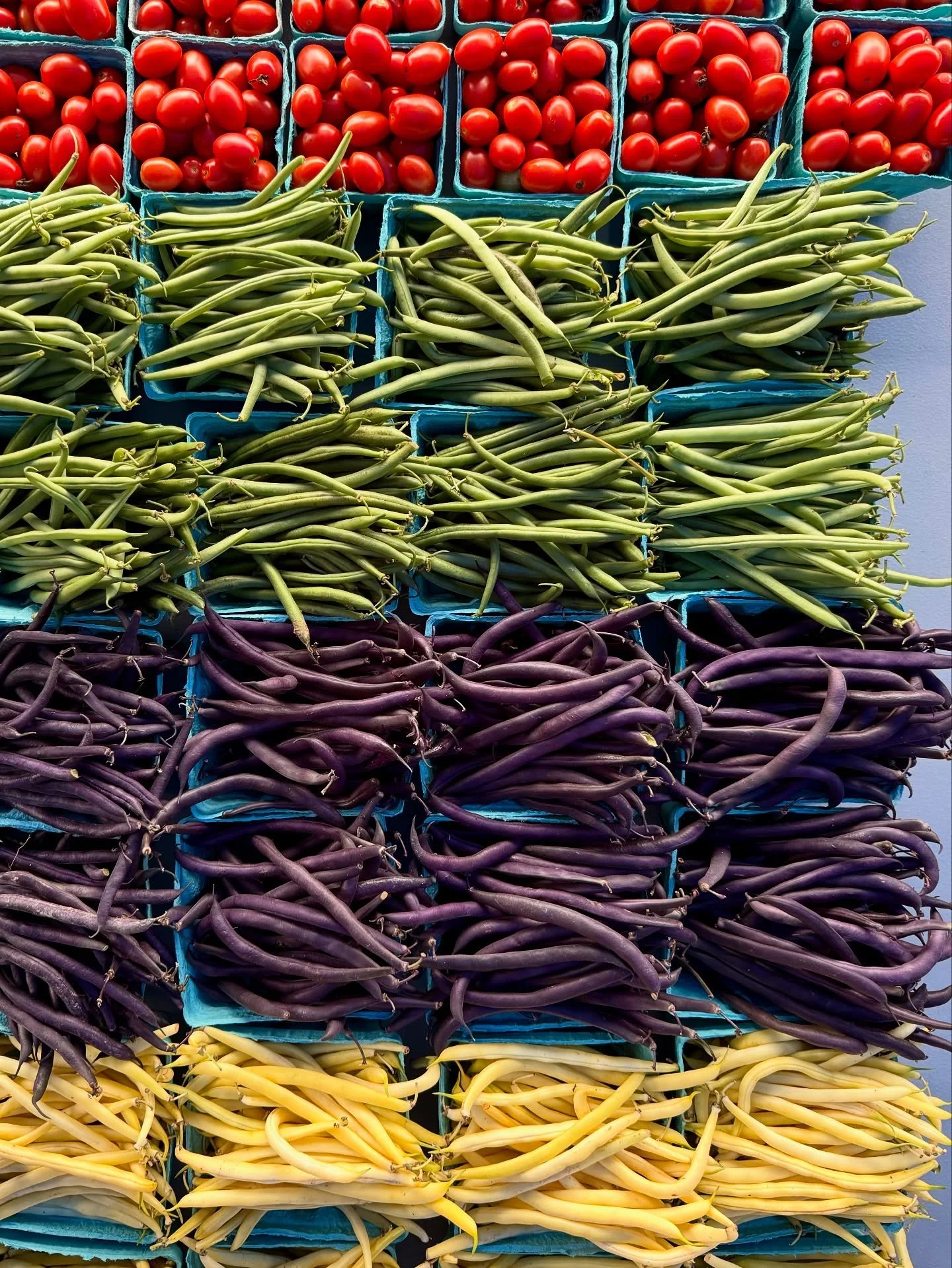 the most gorg weekend celebrating Kelly + Steve ❤️&zwj;🔥 felt so good to be back in Charlottesville