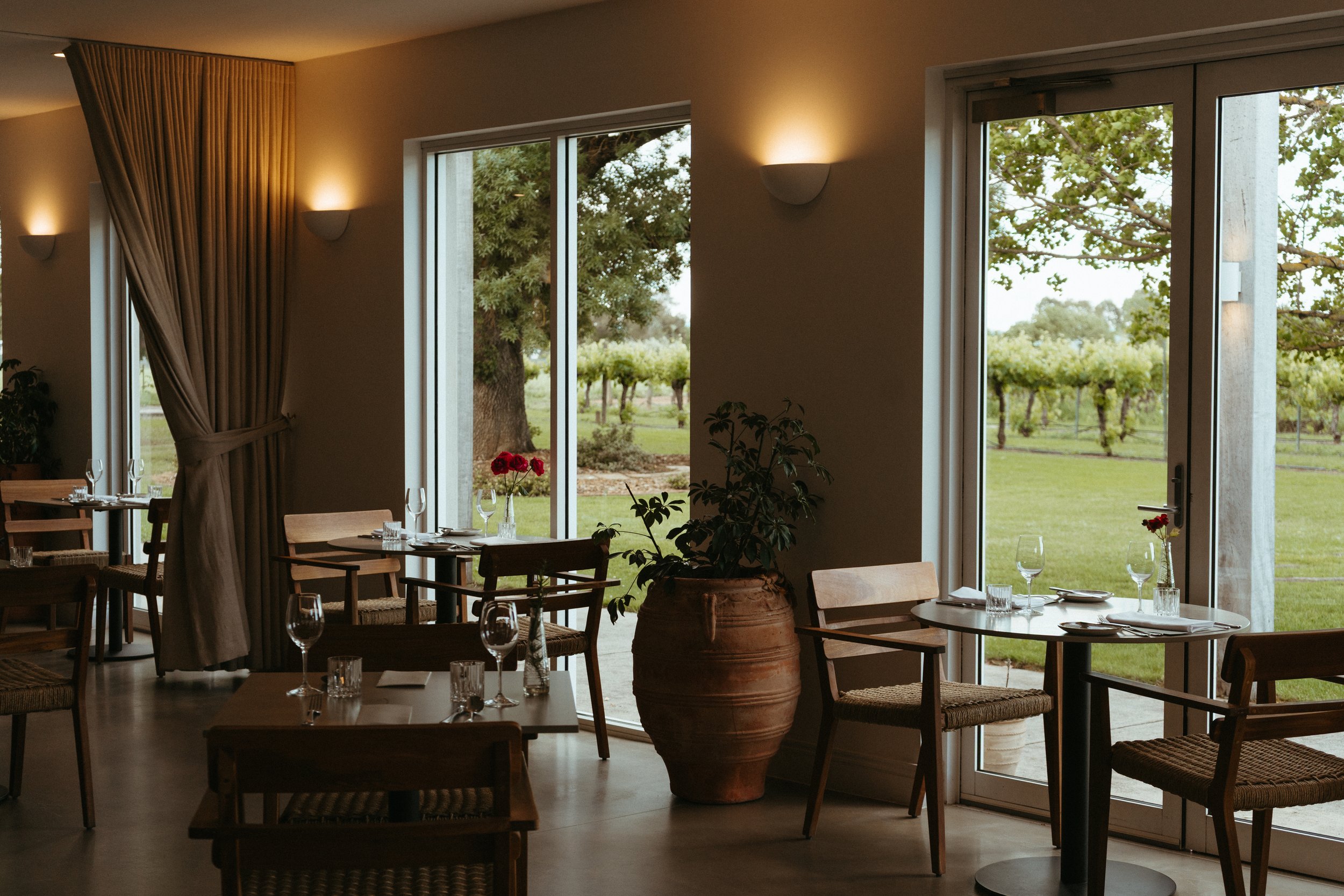 Inside a restaurant with large glass doors showing a vineyard outside, tables set with wine glasses and silverware, and a large potted plant in the center.
