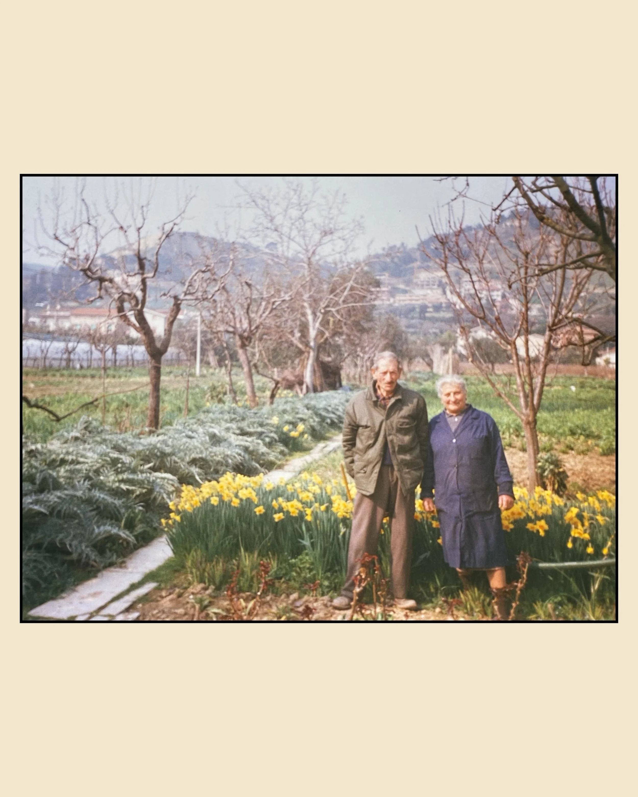 Inspiration, everywhere. Inspired, always. 

Great Zia Louisa &amp; Zio Francesco at their farm in Grottammare, Italy. 

#thesocialgroove #photography #contentcreation